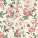 HEIRLOOM ROSES DCX11886-CORA-D