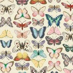ANTIQUE BUTTERFLIES DCX11888-LINE-D