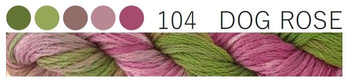 104 Dog rose