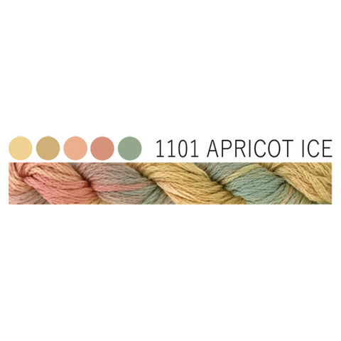 1101 Apricot Ice