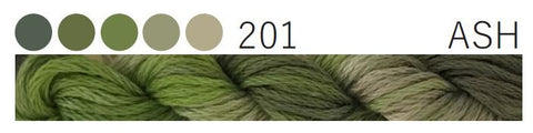 201 Ash