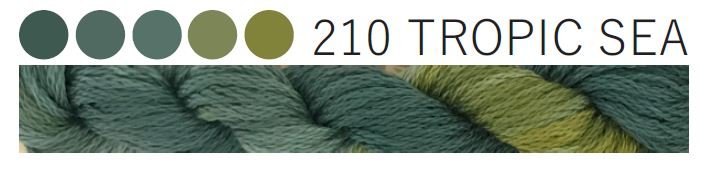 210 Tropic Sea