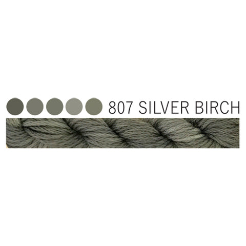807 Silver Birch