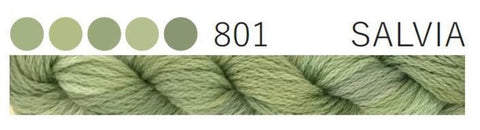 801 Salvia
