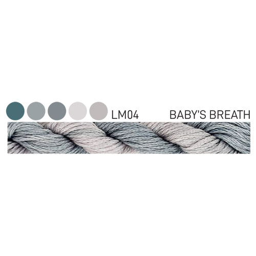 Forage Cottage Garden Threads Babys Breath