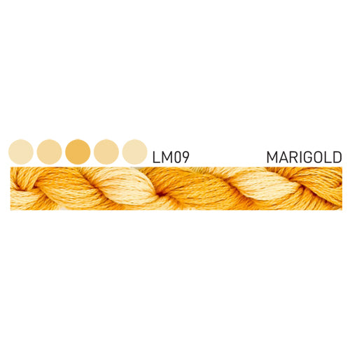 Forage Cottage Garden Threads Marigold