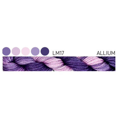 Forage Cottage Garden Threads Allium