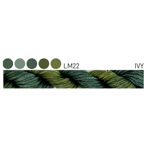 Forage Cottage Garden Threads Ivy