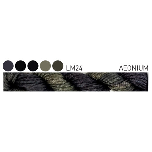 Forage Cottage Garden Threads Aeonium
