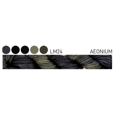Forage Cottage Garden Threads Aeonium