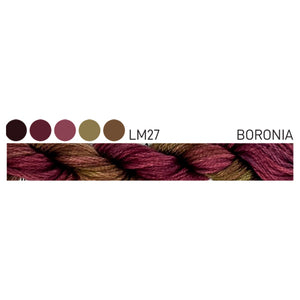 Forage Cottage Garden Threads Boronia