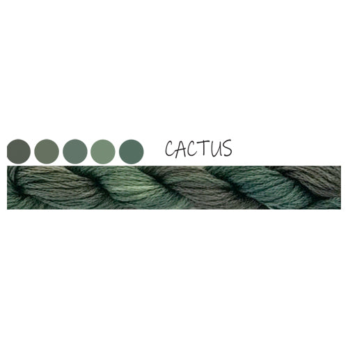 Paint box Cottage Garden Threads Cactus