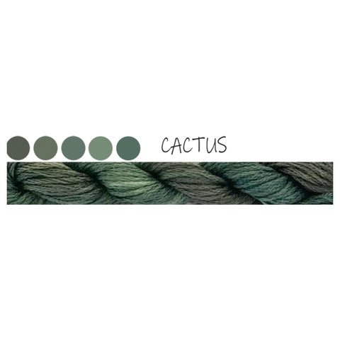 Paint box Cottage Garden Threads Cactus